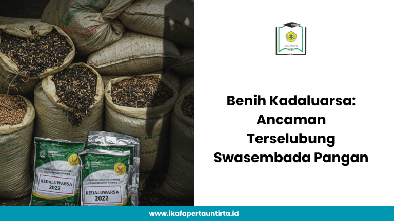 Benih Kadaluarsa: Ancaman Terselubung di Balik Program Swasembada Pangan