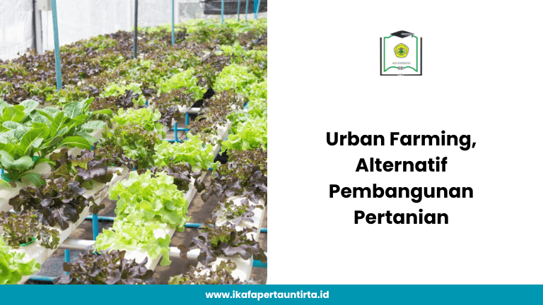 Urban Farming Alternatif Pembangunan Pertanian