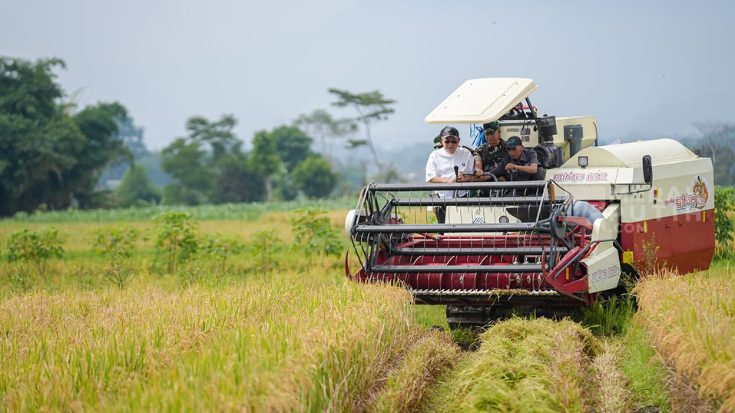 Program Brigade Pangan: Harapan Peningkatan Regenerasi Petani